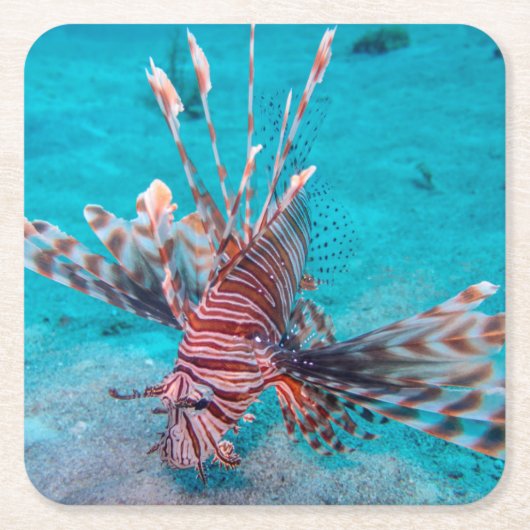 Schöne rote Löwe-Fische Rechteckiger Pappuntersetzer (Vorderseite)