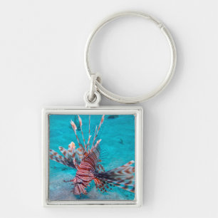 Schöne rote Löwe-Fische Schlüsselanhänger