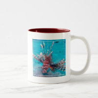 Schöne rote Löwe-Fische
