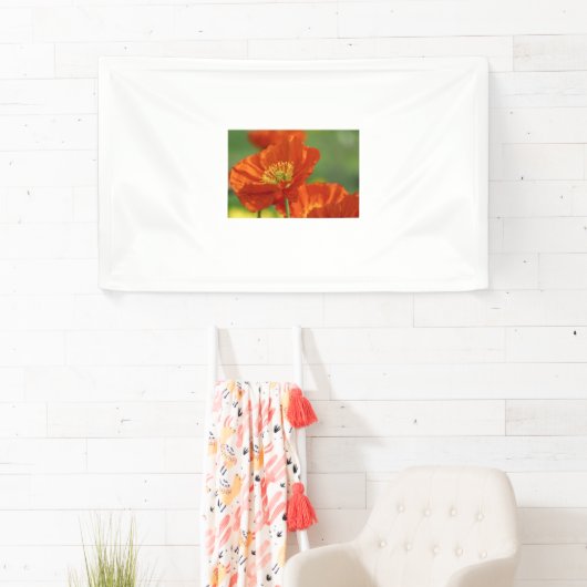 Schöne rote Poppy Banner (Insitu)