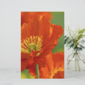 Schöne rote Poppy Briefpapier (Stehend Vorderseite)