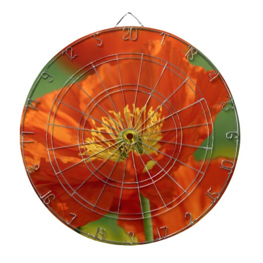 Schöne rote Poppy Dartscheibe (vorne)