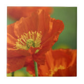 Schöne rote Poppy Fliese (Vorderseite)