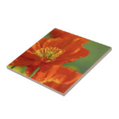 Schöne rote Poppy Fliese (Seite)