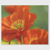 Schöne rote Poppy Geschenkpapier (Flach)