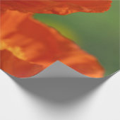 Schöne rote Poppy Geschenkpapier (Ecke)