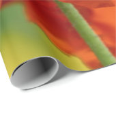 Schöne rote Poppy Geschenkpapier (Rolleneckpunkt)