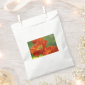 Schöne rote Poppy Geschenktütchen (Ausgeschnitten)