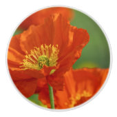 Schöne rote Poppy Keramikknauf (Vorderseite)
