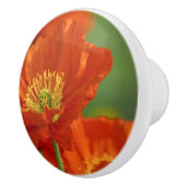 Schöne rote Poppy Keramikknauf (Rechts)