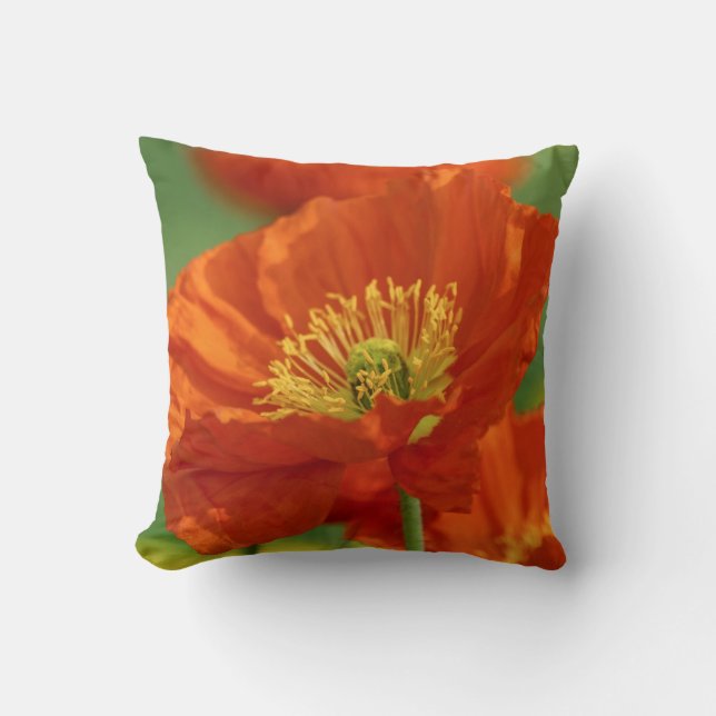 Schöne rote Poppy Kissen (Vorderseite)