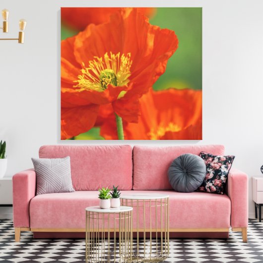 Schöne rote Poppy Leinwanddruck (Insitu (Wohnzimmer))