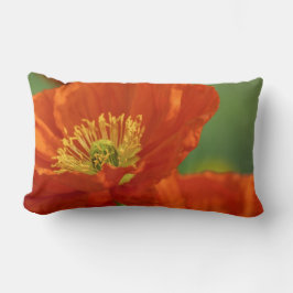 Schöne rote Poppy Lendenkissen