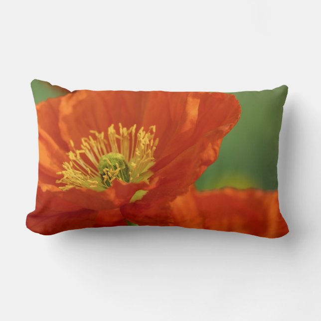 Schöne rote Poppy Lendenkissen (Vorderseite)