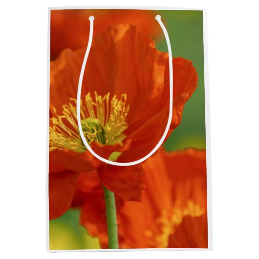 Schöne rote Poppy Mittlere Geschenktüte (Vorderseite)