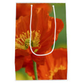 Schöne rote Poppy Mittlere Geschenktüte (Rückseite)