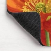 Schöne rote Poppy Mousepad (Ecke)