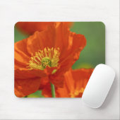 Schöne rote Poppy Mousepad (Mit Mouse)