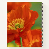 Schöne rote Poppy Notizblock (Rückseite)