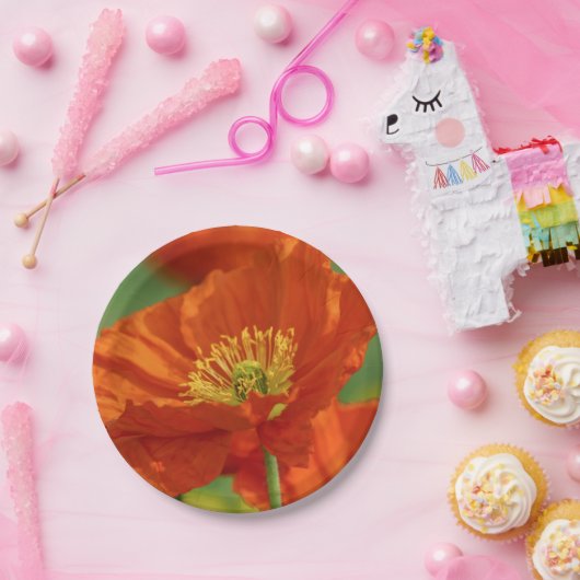 Schöne rote Poppy Pappteller (Party)