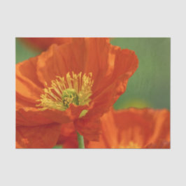 Schöne rote Poppy Seidenpapier