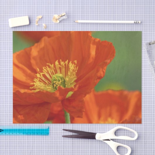 Schöne rote Poppy Seidenpapier (Handwerk)