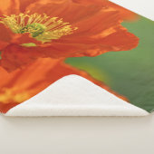 Schöne rote Poppy Sherpadecke (3/4)