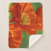 Schöne rote Poppy Sherpadecke (Vorderseite)