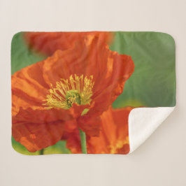 Schöne rote Poppy Sherpadecke
