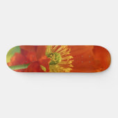 Schöne rote Poppy Skateboard (Horizontal)