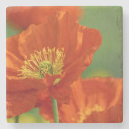 Schöne rote Poppy Steinuntersetzer