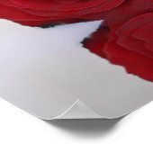 Schöne Rote Rose 25 Tafelübersicht Poster (Ecke)