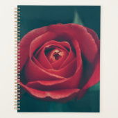 Schöne Rote Rose Blume Planer (Vorderseite)