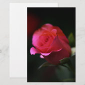 Schöne Rote Rose Briefpapier (Vorne/Hinten)