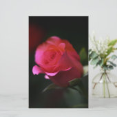 Schöne Rote Rose Briefpapier (Stehend Vorderseite)