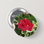 Schöne Rote Rose Button (Vorne & Hinten)