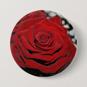 Schöne Rote Rose Button