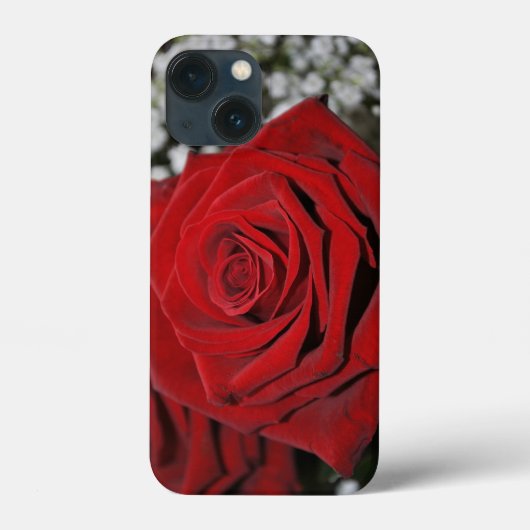 Schöne Rote Rose Case-Mate iPhone Hülle (Rückseite)