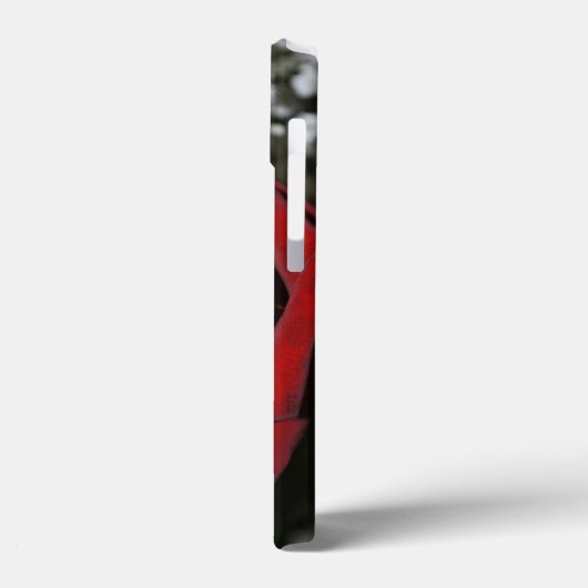 Schöne Rote Rose Case-Mate iPhone Hülle (Rückseite / Links)