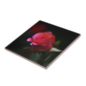 Schöne Rote Rose Fliese (Seite)
