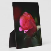 Schöne rote Rose Fotoplatte (Seite)