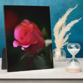 Schöne rote Rose Fotoplatte (Seite)