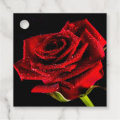 Schöne rote Rose Geschenkanhänger (Vorderseite)