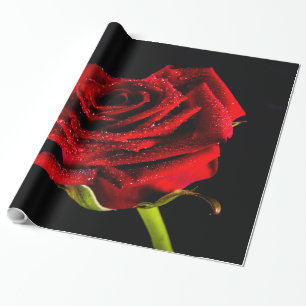 Schöne rote Rose Geschenkpapier