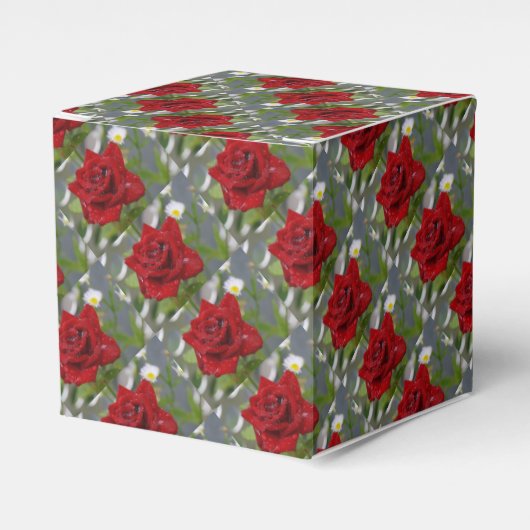 Schöne Rote Rose Geschenkschachtel (Vorderseite)