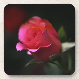 Schöne Rote Rose Getränkeuntersetzer