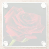 Schöne rote Rose Glasuntersetzer (Rückseite)