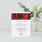 Schöne Rote Rose Hochzeit Abend Empfang-Weiß Einladung (Stehend Vorderseite)