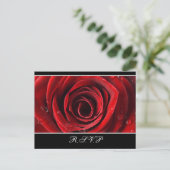 Schöne Rote Rose Hochzeit RSVP Postkarte - Schwarz (Stehend Vorderseite)