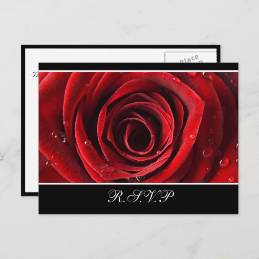 Schöne Rote Rose Hochzeit RSVP Postkarte - Schwarz (Vorne/Hinten)